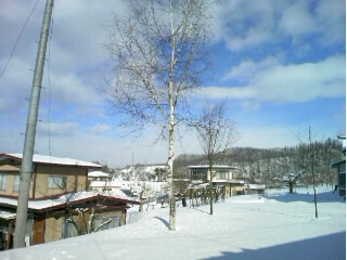 e0081772_1115818.jpg