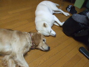 f0005081_2054885.jpg