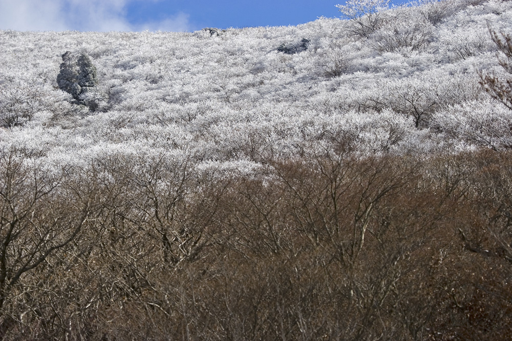 e0164282_12141152.jpg