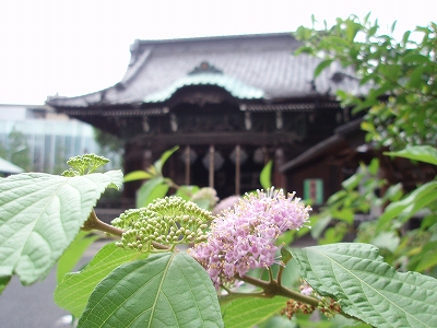 c0105785_14403791.jpg