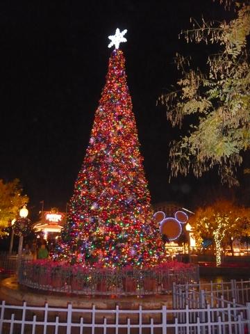 f0181488_5221336.jpg