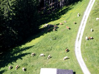 c0191390_2273858.jpg