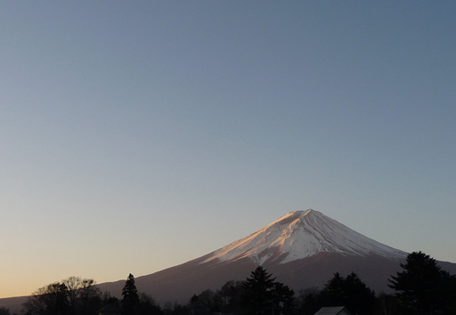 a0064291_204671.jpg