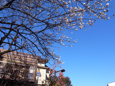 c0010791_0325124.jpg