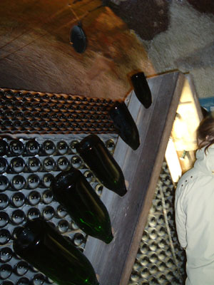 f0139994_17561381.jpg
