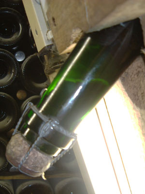 f0139994_1756356.jpg