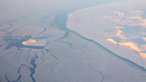 c0084097_3203073.jpg