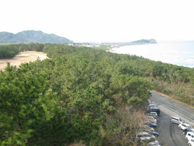 f0036700_21361662.jpg