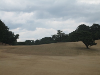 f0036700_21435381.jpg