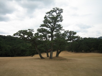 f0036700_21442542.jpg