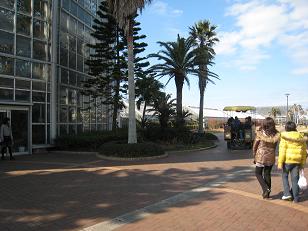 e0033301_1992465.jpg
