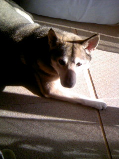 e0077910_23262267.jpg