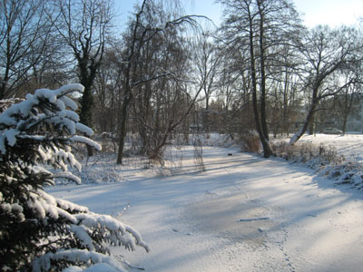 e0038811_8101913.jpg