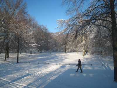 e0038811_832057.jpg