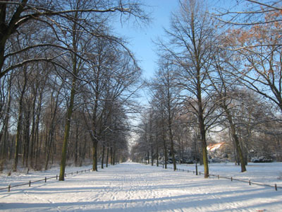 e0038811_841396.jpg