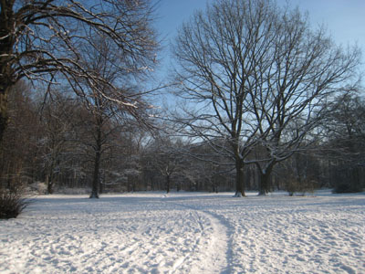 e0038811_885052.jpg