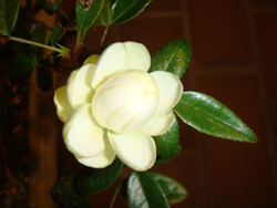 a0019212_12504983.jpg