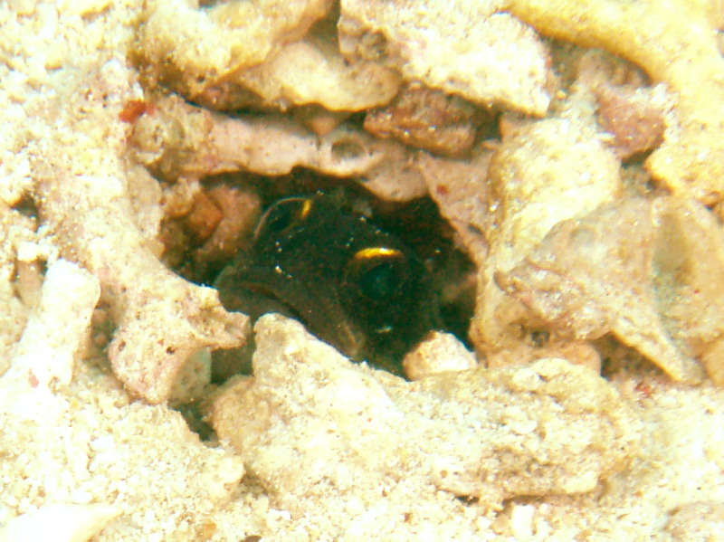 e0121018_21381762.jpg