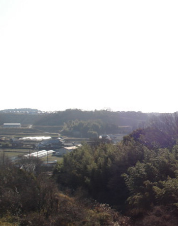 e0110719_8554188.jpg