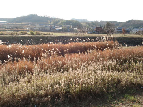 e0110719_8561689.jpg