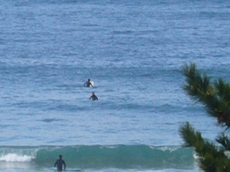 f0143521_0253763.jpg