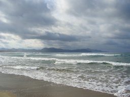 f0143521_0262859.jpg