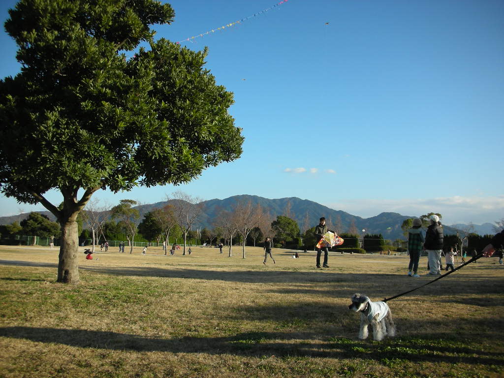 d0149722_1263171.jpg