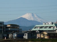 d0006323_16254074.jpg