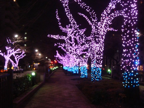 c0190424_22425977.jpg