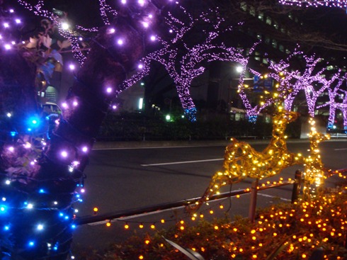 c0190424_22442144.jpg