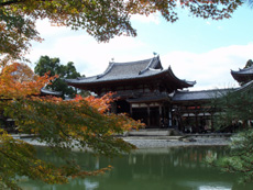 d0041227_2231617.jpg