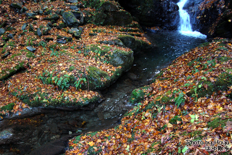 a0059328_23295543.jpg