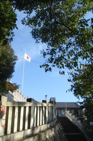 b0102728_1733437.jpg