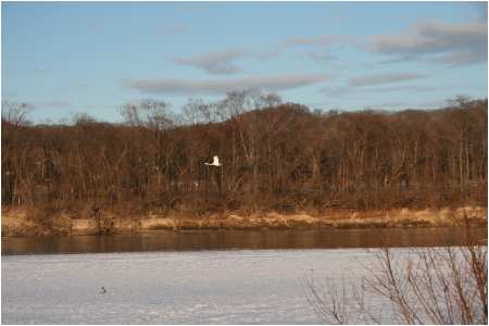 e0077528_17421459.jpg