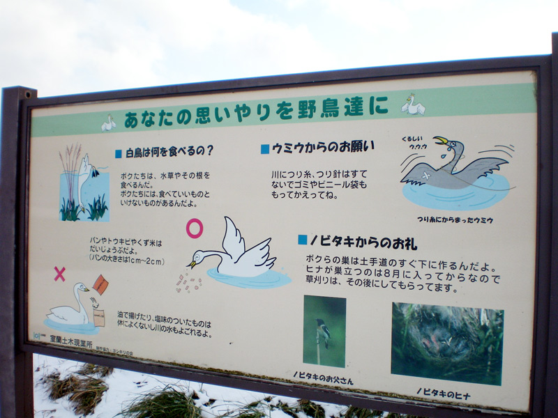 e0037129_211099.jpg