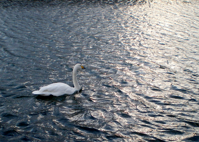 e0037129_2123663.jpg