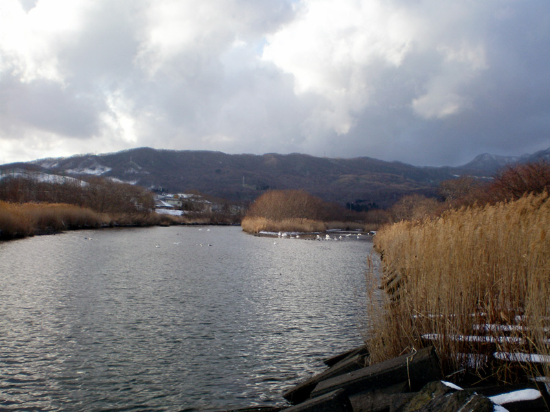 e0037129_21243568.jpg