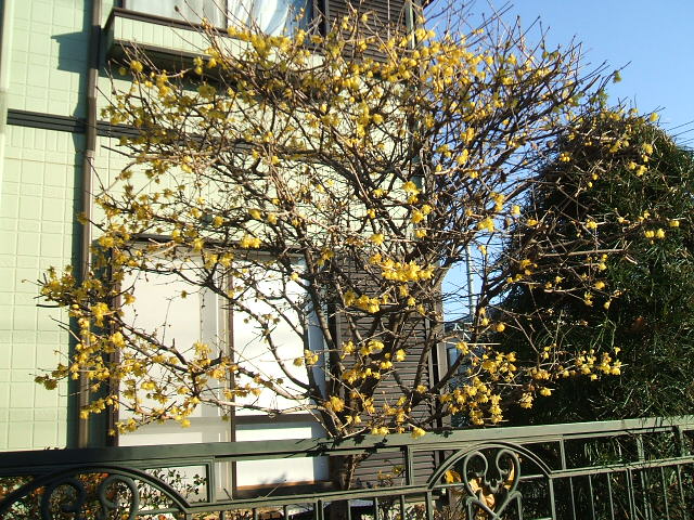 e0166032_1939383.jpg
