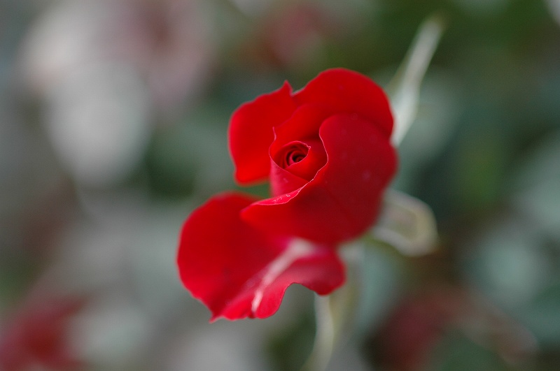 a0017634_630254.jpg