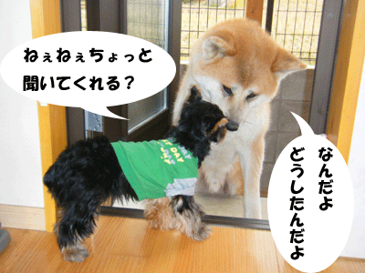 f0008935_1422694.gif