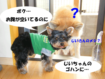 f0008935_1423334.gif