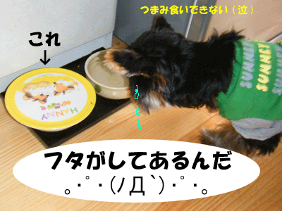 f0008935_1424351.gif