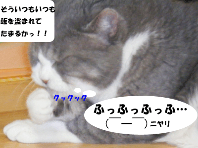 f0008935_1425167.gif