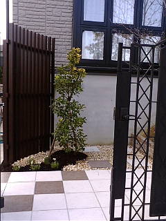c0136736_19352422.jpg