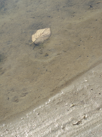 e0149840_12401645.jpg