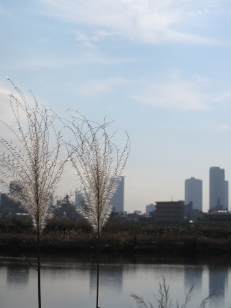e0149840_1249031.jpg