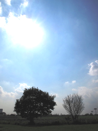 e0149840_1303181.jpg