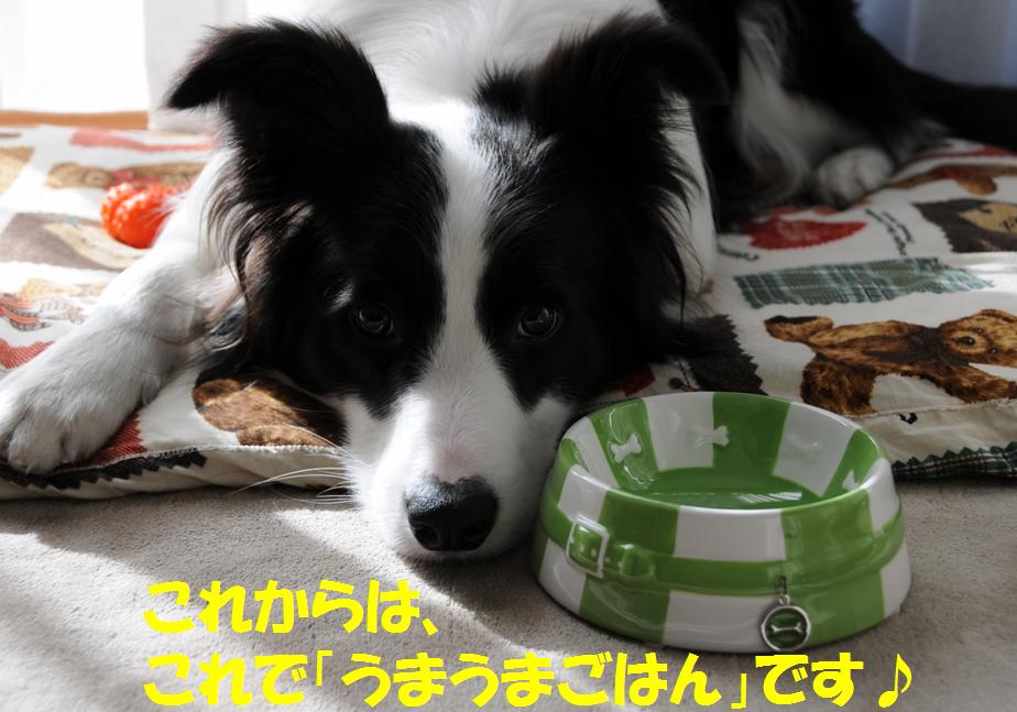 c0147241_2332138.jpg
