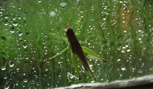 f0014842_1424127.jpg