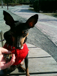 e0150843_2216551.jpg